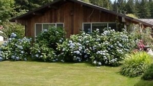 A wooden cabin with a sloped roof, surrounded by lush greenery and flowering bushes.