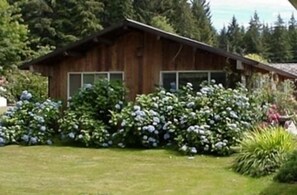 Terrain de l’hébergement 