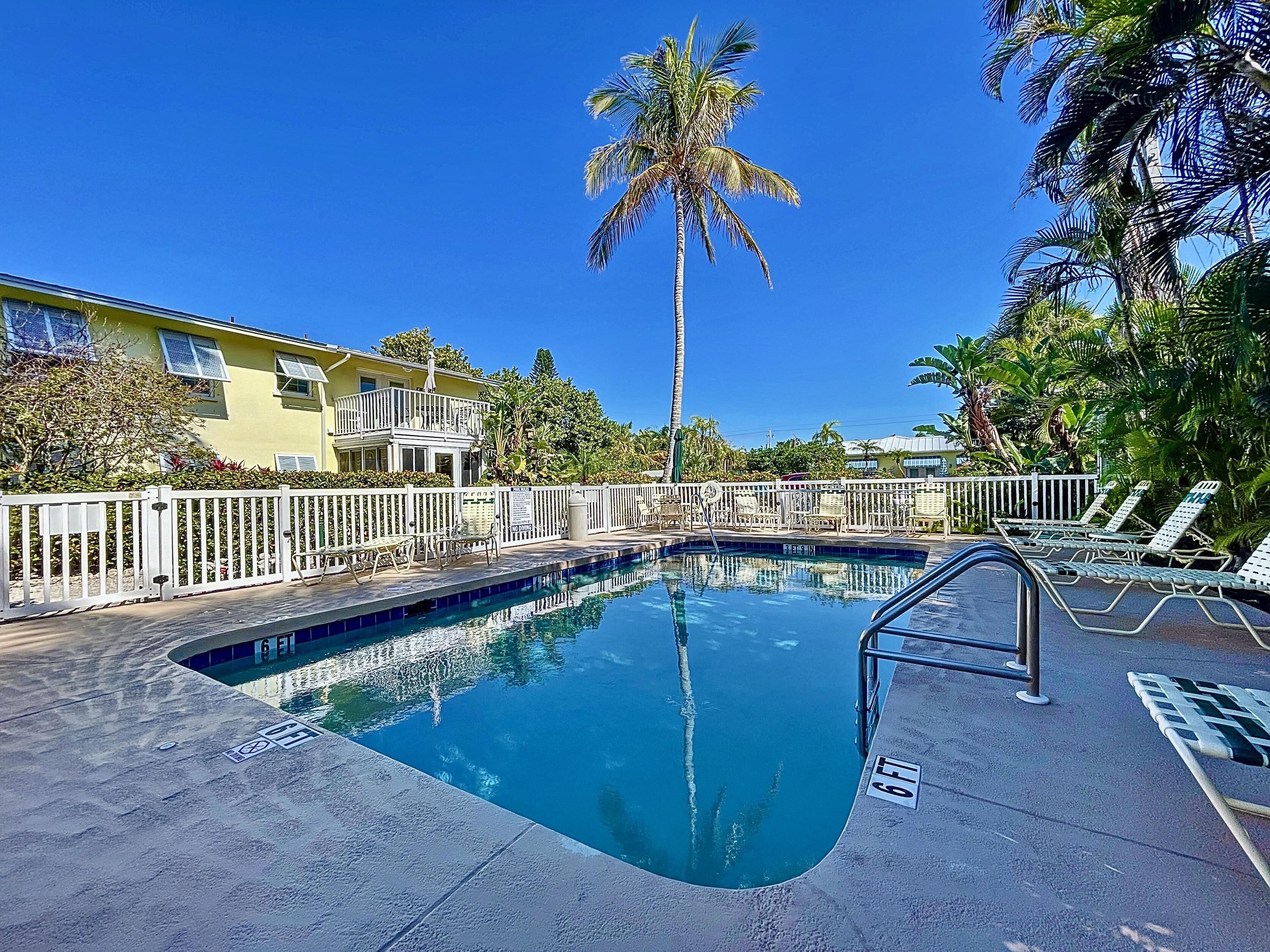A swimming pool with a white fence, lounge chairs, and a palm tree.