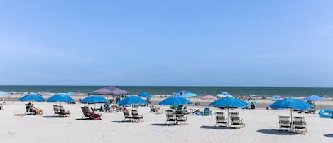 On the beach