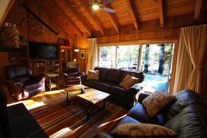 TV, fireplace, video games, DVD player