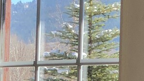 Una ventana con vista a montañas nevadas y un árbol de coníferas.
