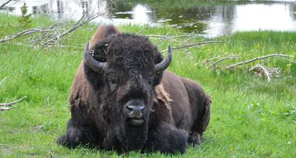 Ski Hill Road Vacation Home - 7.5 miles from Grand Targhee Resort