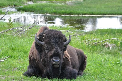 Ski Hill Road Vacation Home - 7.5 miles from Grand Targhee Resort