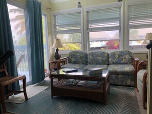 TV, DVD player, music library, video library