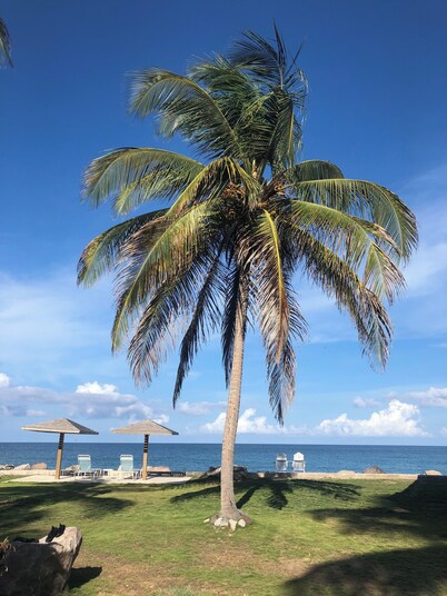 Our Home Away from Home