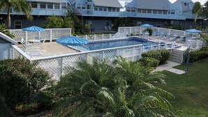 Un espace piscine doté de nombreuses chaises longues et de parasols, entouré d’une clôture en treillis blanc et de palmiers.