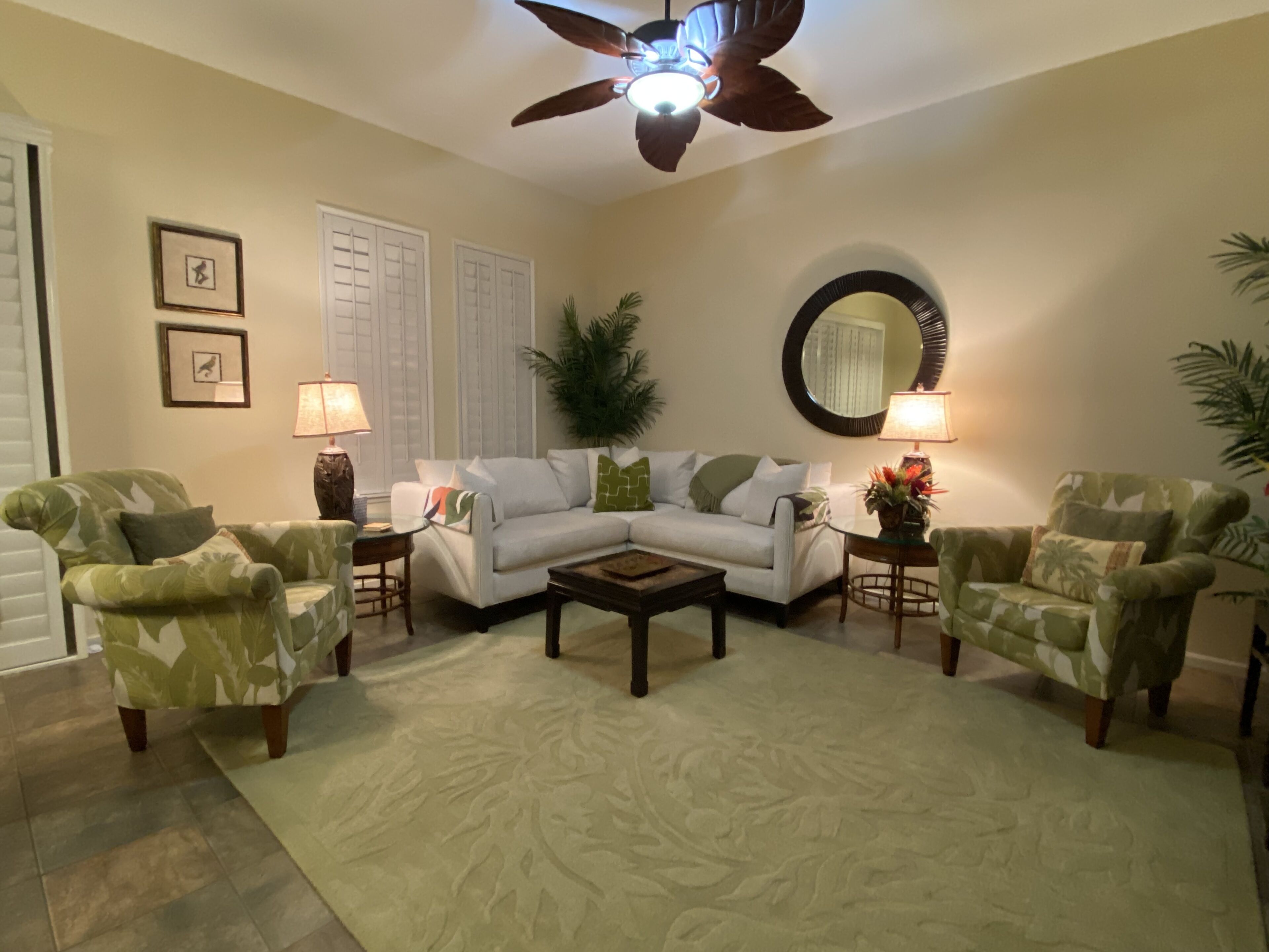 TV, DVD player, books, video library