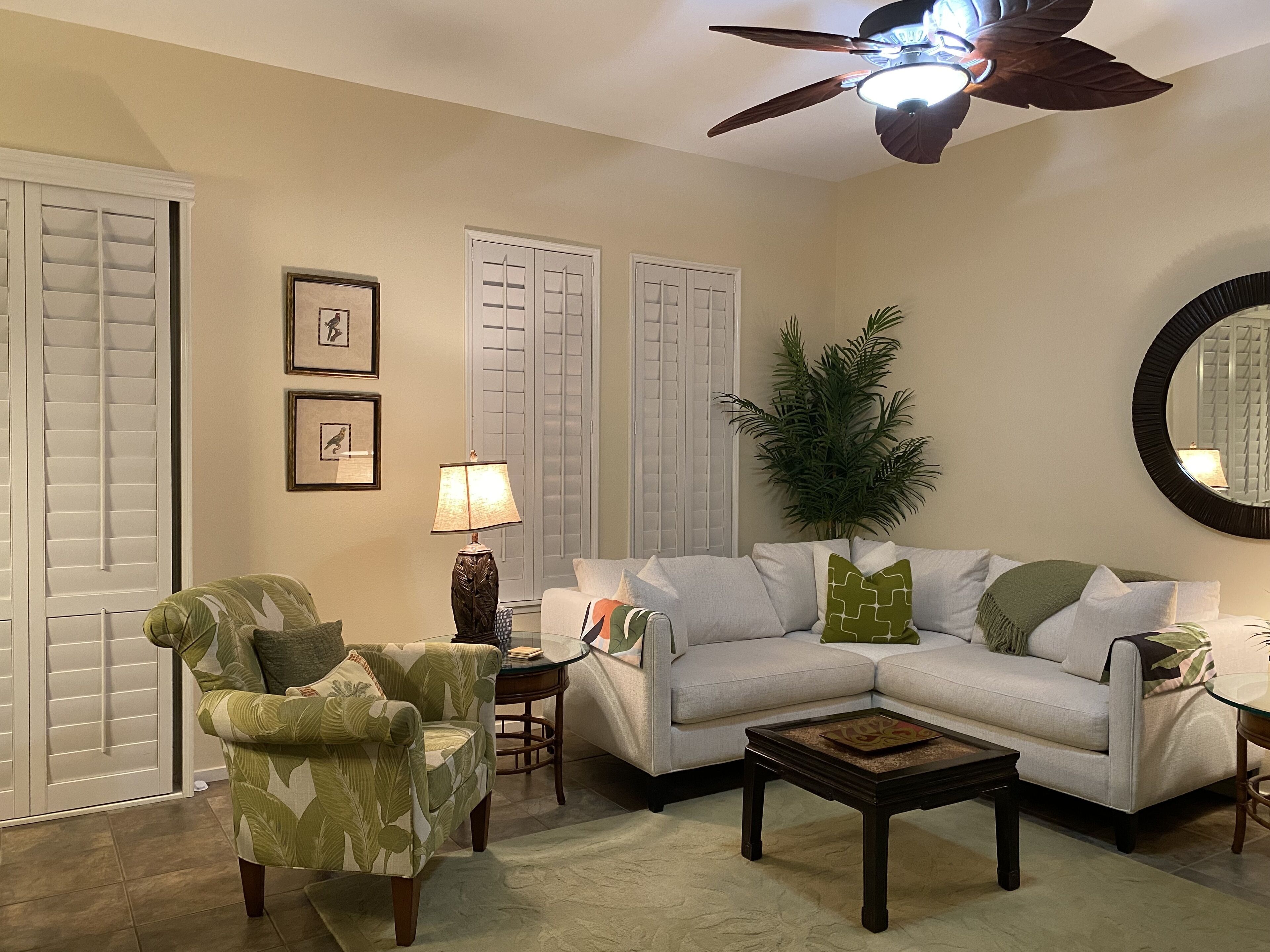 TV, DVD player, books, video library