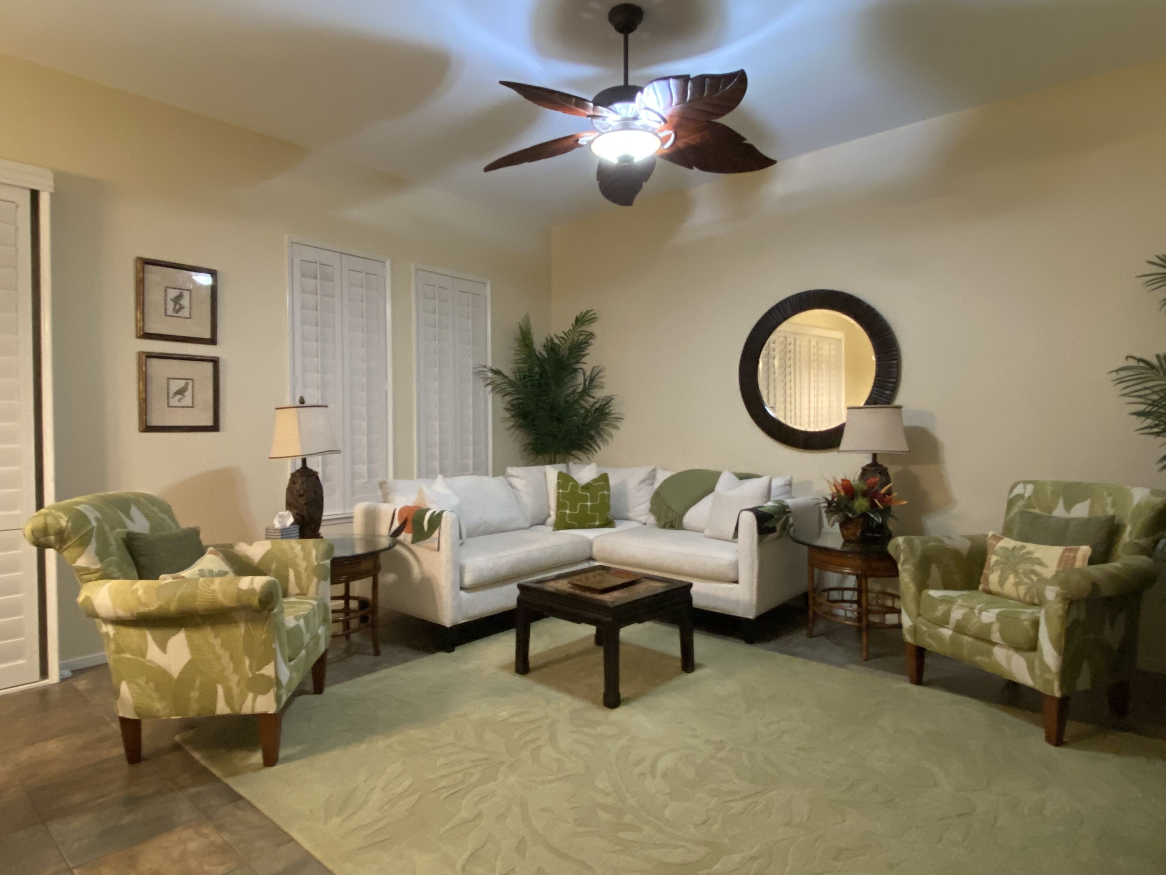 TV, DVD player, books, video library