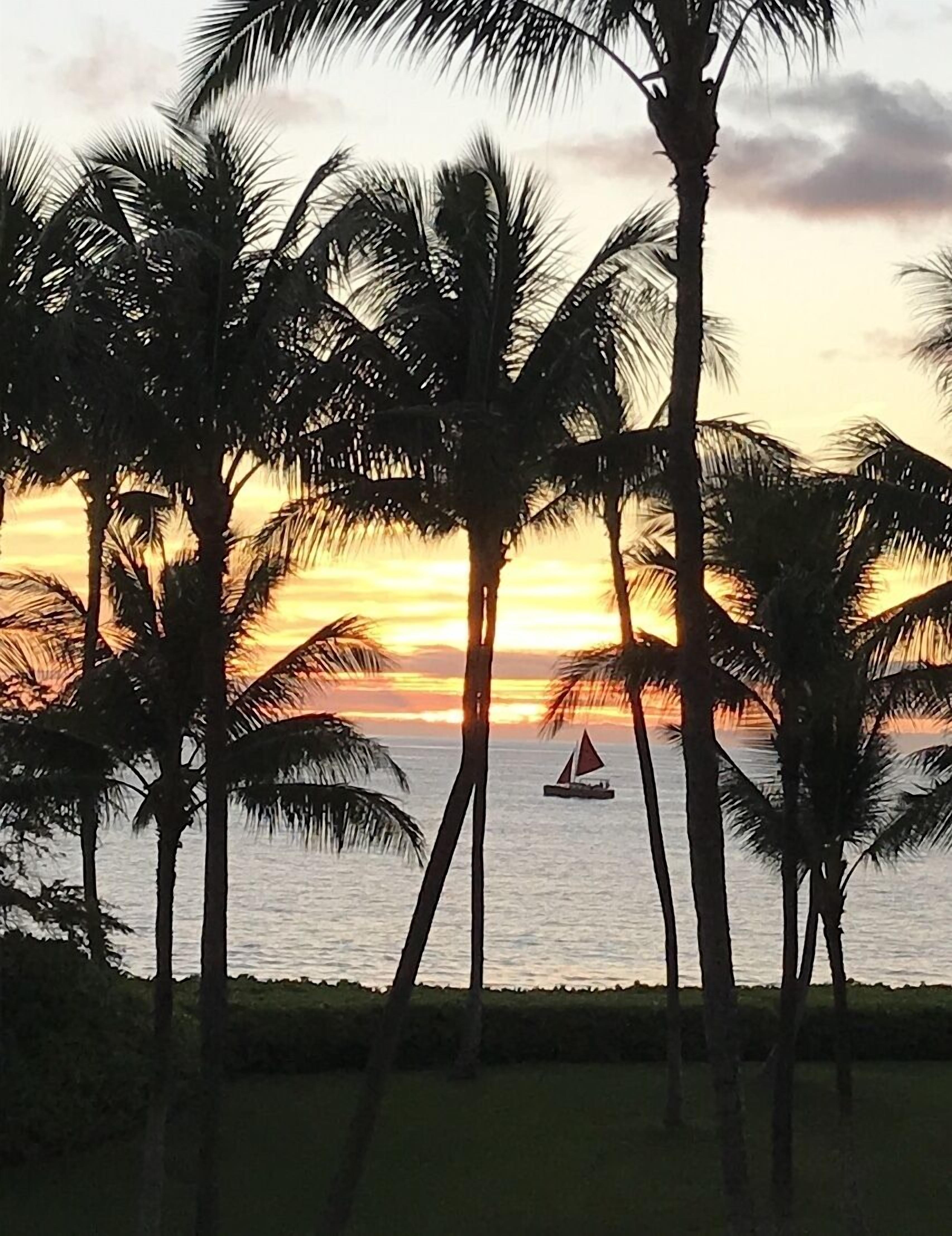 Beach nearby, sun loungers, beach towels