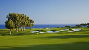 Un parcours de golf doté de bunkers et d’un grand groupe d’arbres.