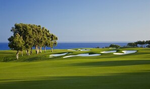 Golf - Private pool and jacuzzi oasis; walk to the beach, golf, restaurants, shopping (Princeville)