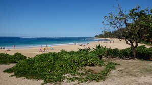 Une plage avec un ciel dégagé, un rivage sablonneux et une végétation verdoyante.