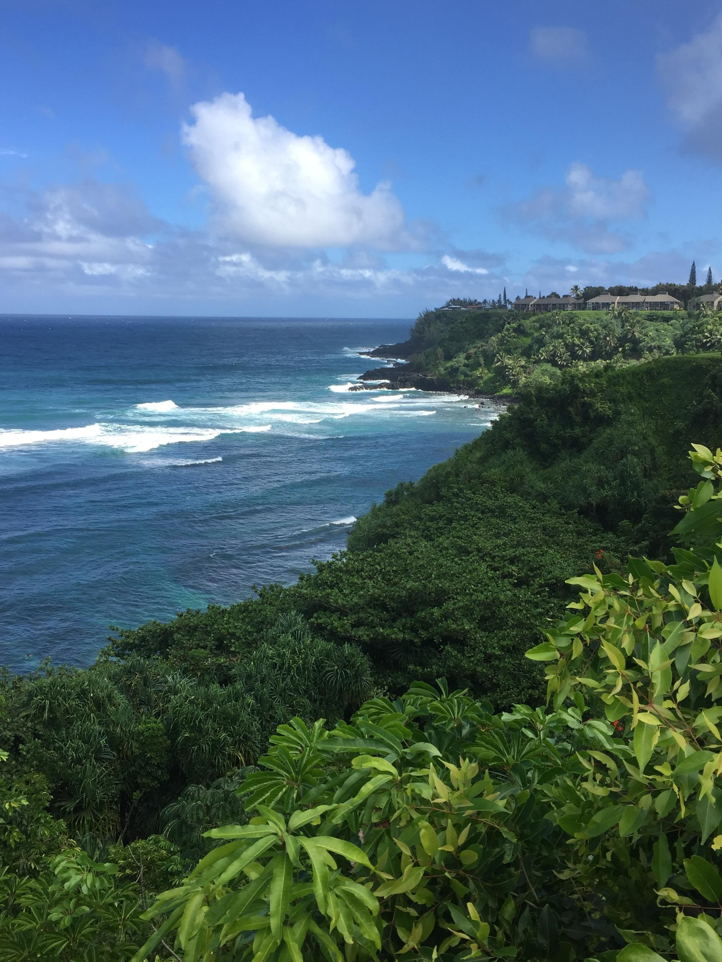 Beach nearby, sun loungers, beach towels