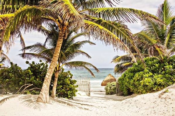 على الشاطئ، كراسي للتشمس، مناشف للشاطئ