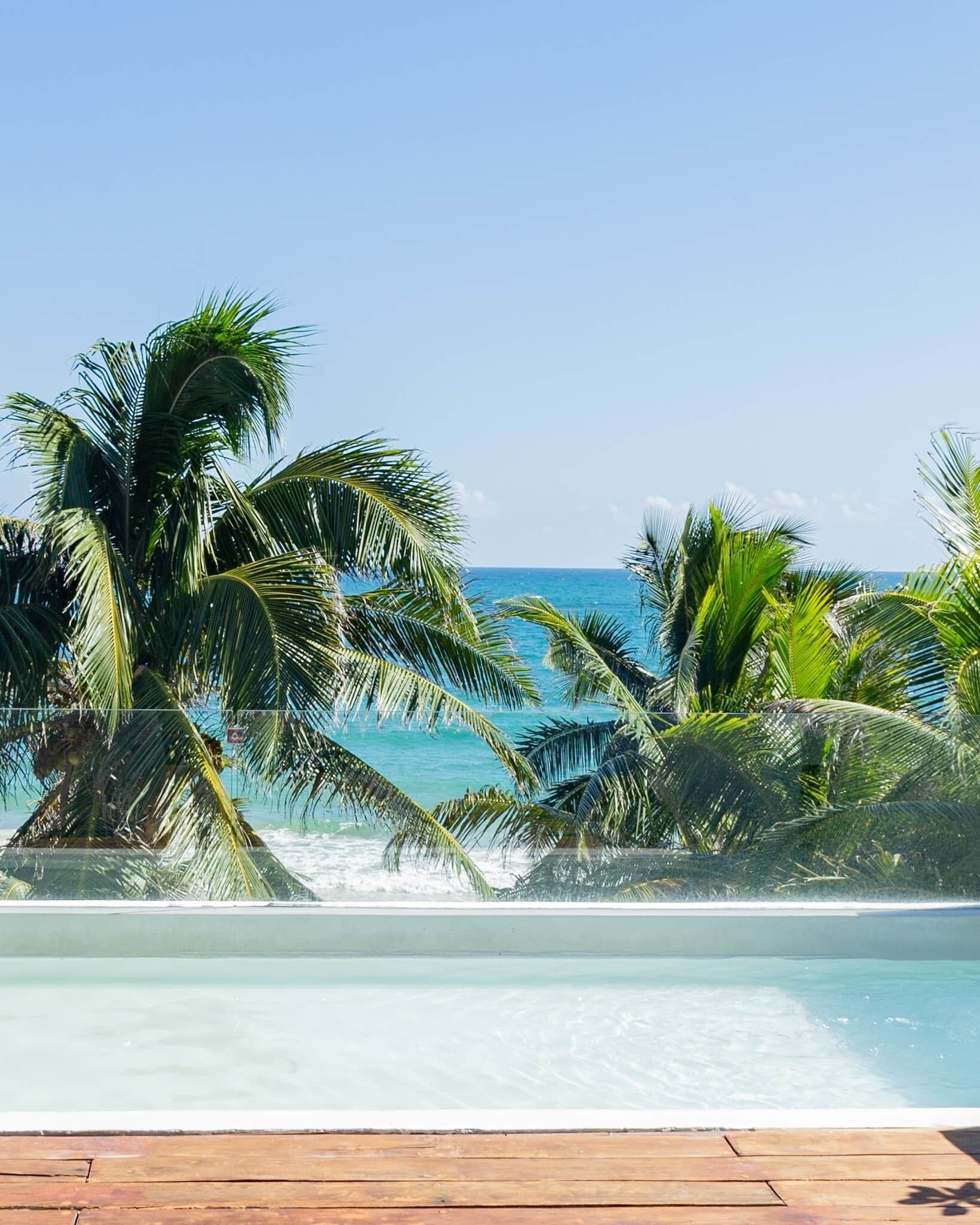 A pool with a view of the ocean and palm trees.