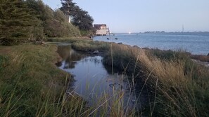 Beach - Bird Watcher Paradise 2 Bedroom 2 Bath with Beautiful View (Bodega Bay)