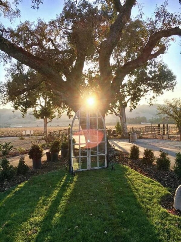 Jardines del alojamiento