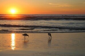 Beach nearby, sun-loungers