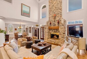 Smart TV, chimenea, reproductor de DVD y libros 