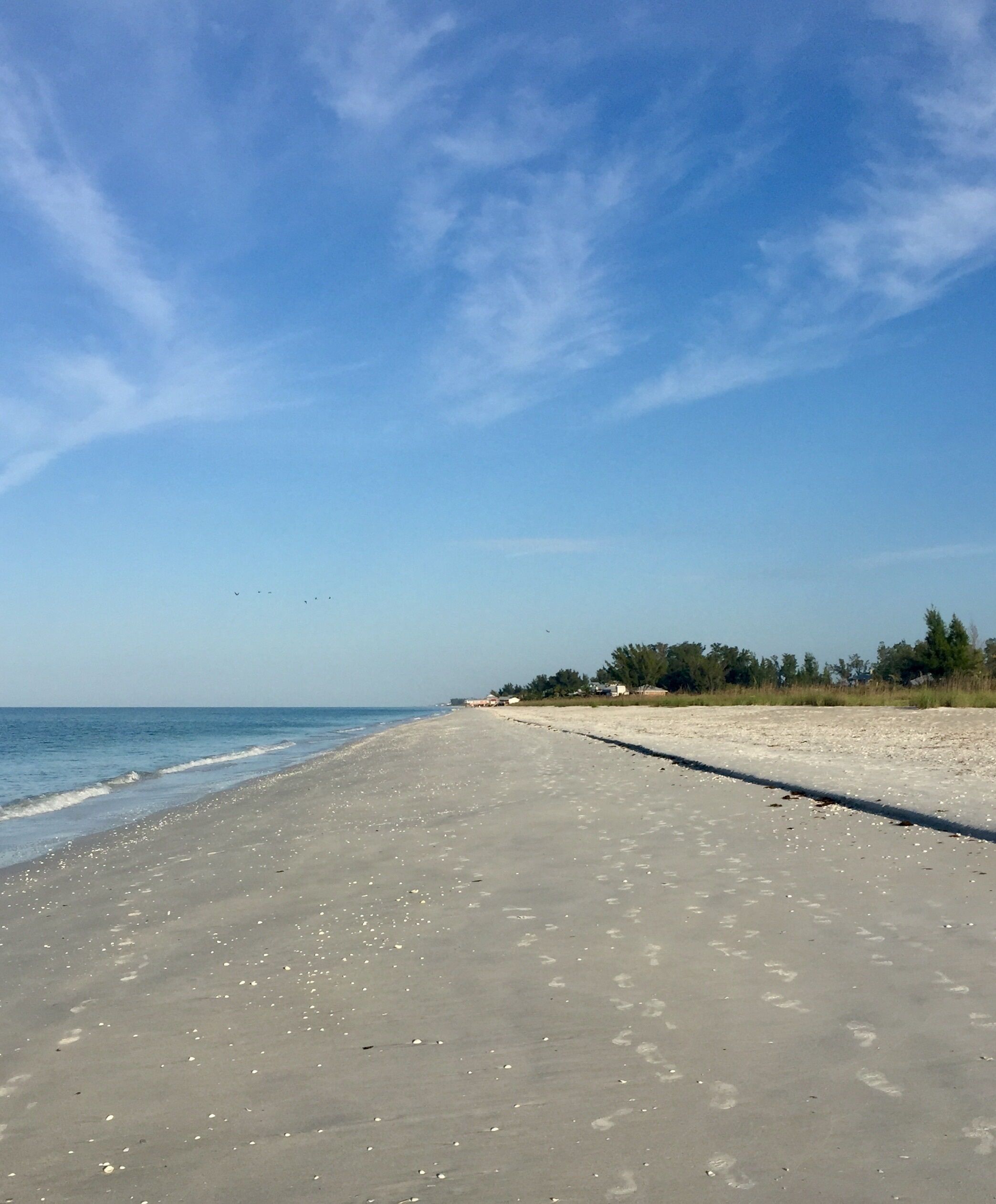 The beach - escape from reality!!