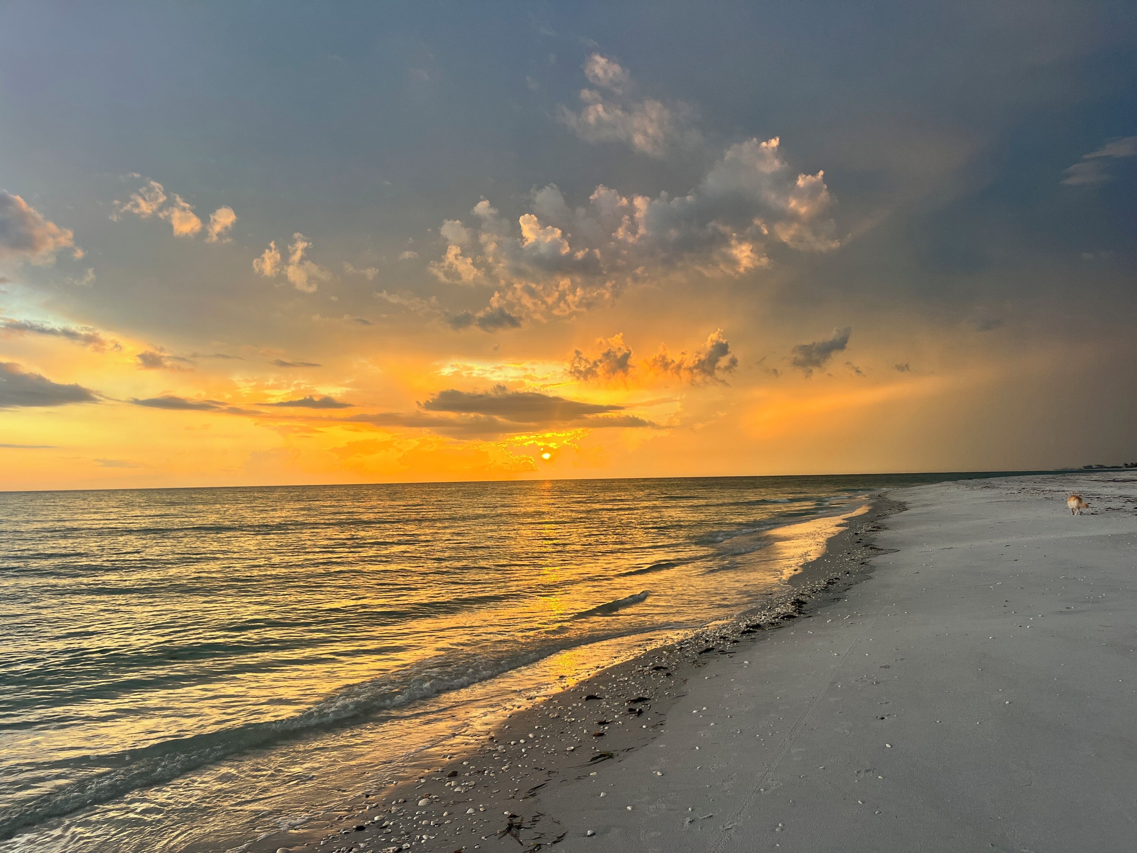 På stranden, solstolar och strandhanddukar