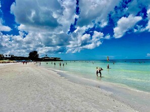 Beach - Star Fish. 3 Bed 2 Bath. POOL. Daily Rentals (Sarasota)