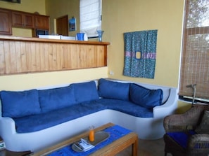 TV, lareira, DVD player, videoteca