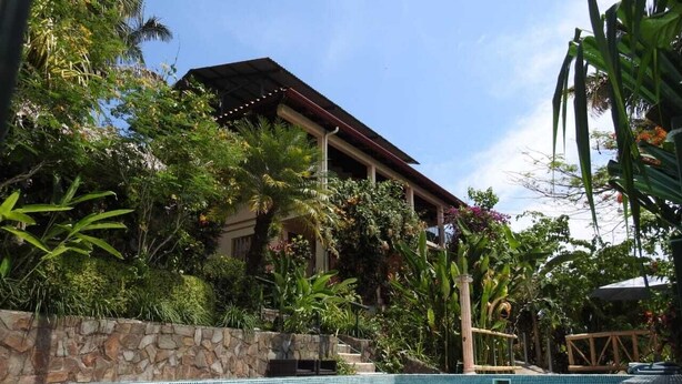 A swimming pool with a tiled deck, surrounded by lush greenery and a stone wall.