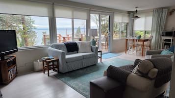 Smart TV, fireplace, DVD player, books