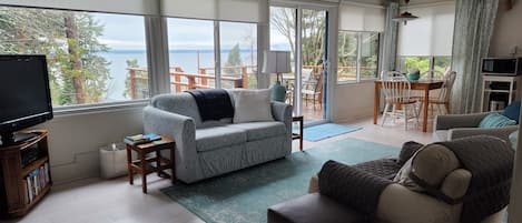 Smart TV, fireplace, DVD player, books