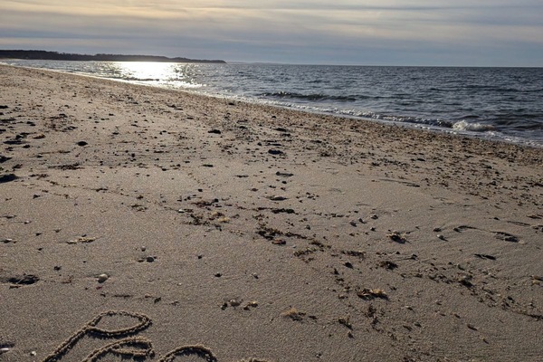 Chaises longues, serviettes de plage
