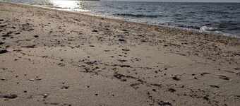 Fabulous Waterfront Property in the Heart of Wine Country