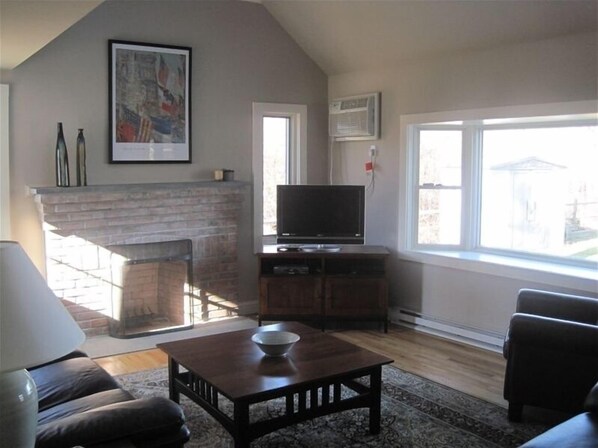 TV, fireplace, video games, DVD player