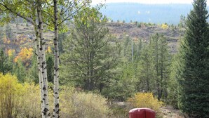 Paisaje natural con abedules, una mesa de picnic y una cerca roja.