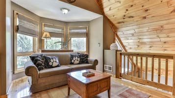 TV connectée, cheminée, lecteur de DVD