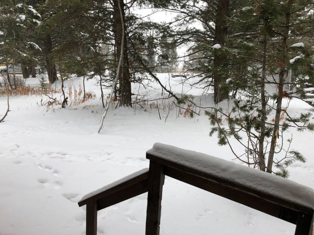 A wooden bench in a snowy outdoor area with trees and a path.