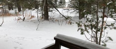 Un banco de madera en un espacio exterior nevado con árboles y un sendero.