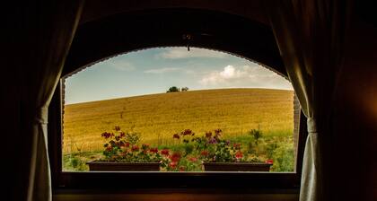 The country house in the middle of a small green valey