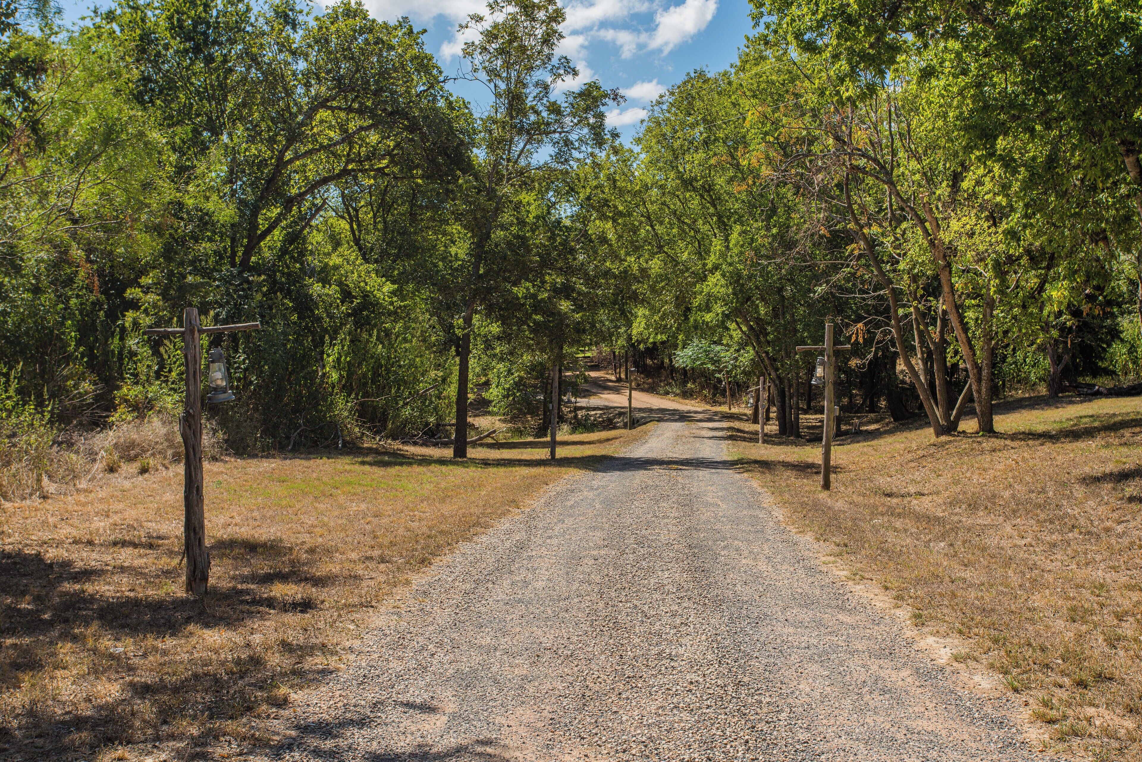 A gravel path leading through a wooded area with trees and utility poles.