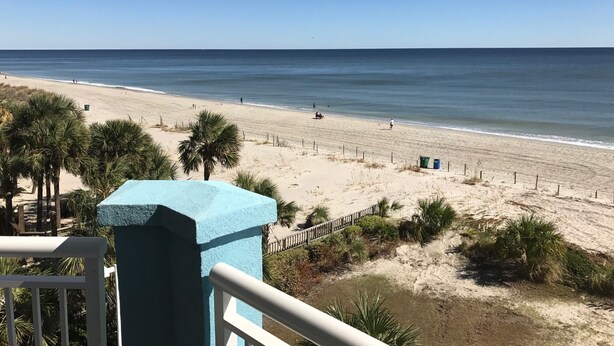 A beach view with a clear sky, palm trees, and a sandy shoreline. - Luxurious and Elegant, 4BR Ocean Front, Get away! Ocean Blue - Myrtle Beach, SC! (Myrtle Beach)