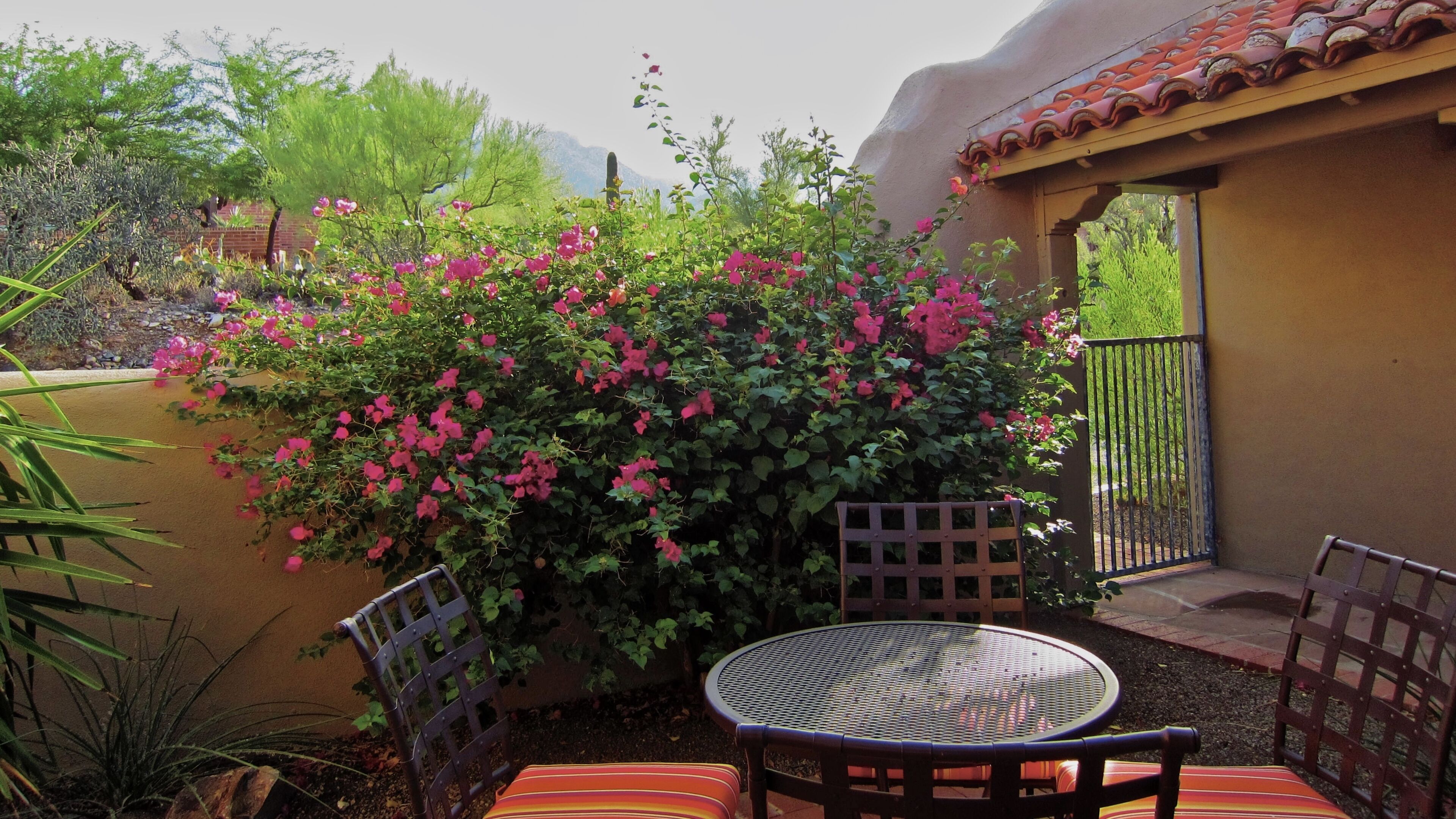 An outdoor patio with a round metal table and two chairs, surrounded by lush greenery and flowering plants.
