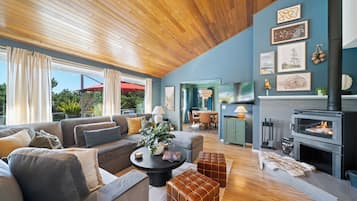 Smart TV, fireplace, video games, DVD player