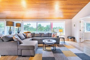 スマートテレビ、暖炉、テレビゲーム、DVD プレーヤー