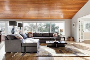 Smart TV, fireplace, video games, DVD player