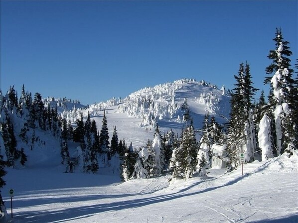 Deportes de invierno y ski