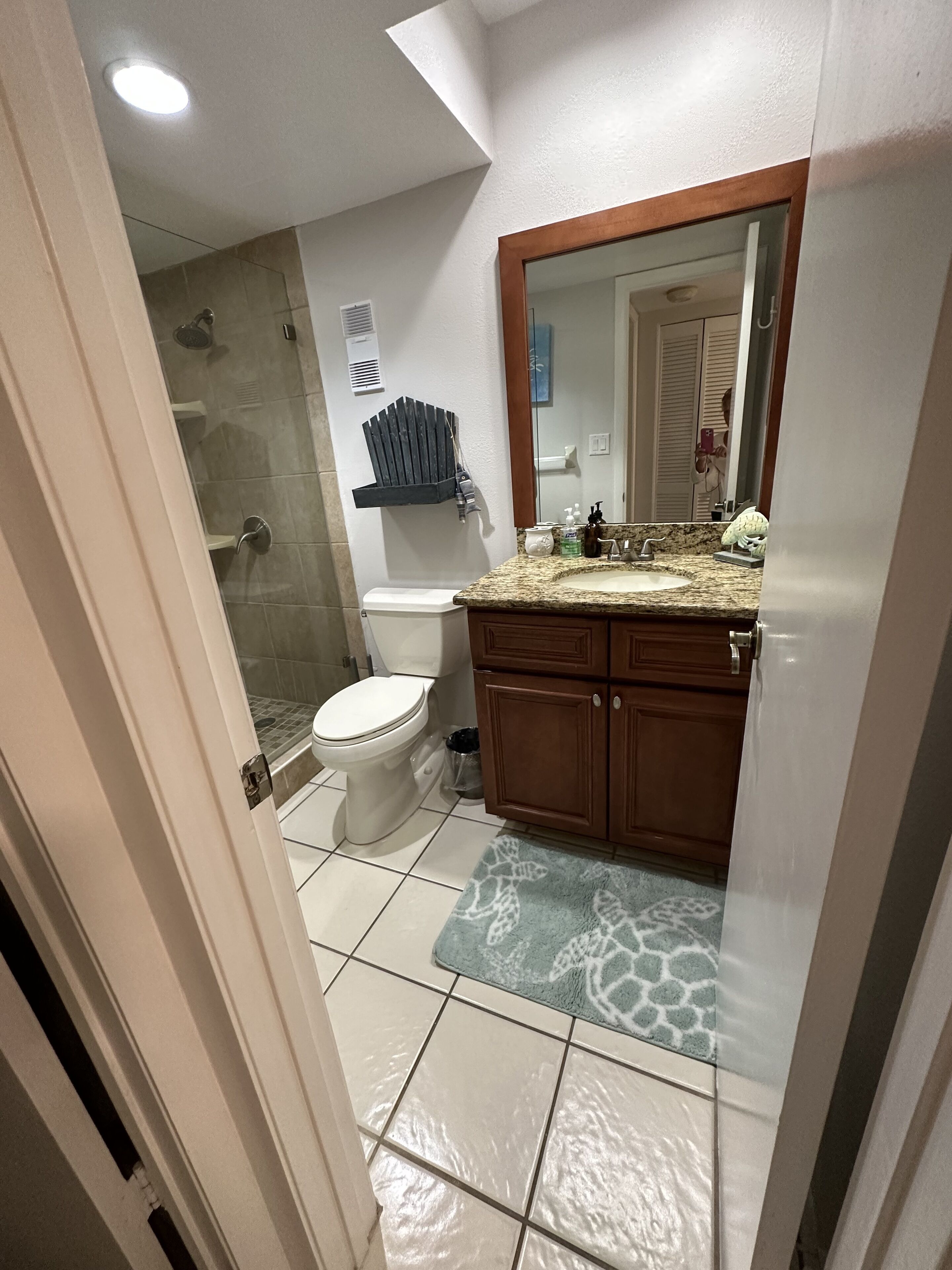A bathroom with a shower, toilet, vanity, and a mirror.
