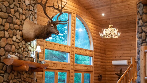 Ein rustikales Holzhaus-Interieur mit Kamin aus Stein, einer Ledersofa und einem aufgehängten Hirschkopf.