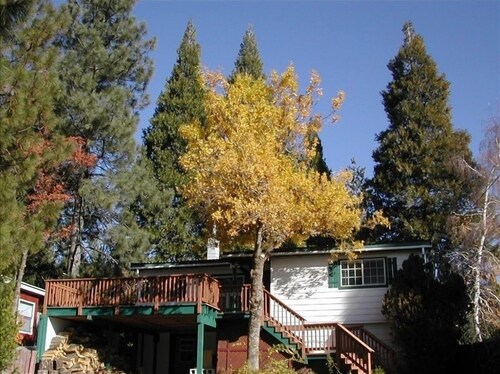 Stunning views of Shasta